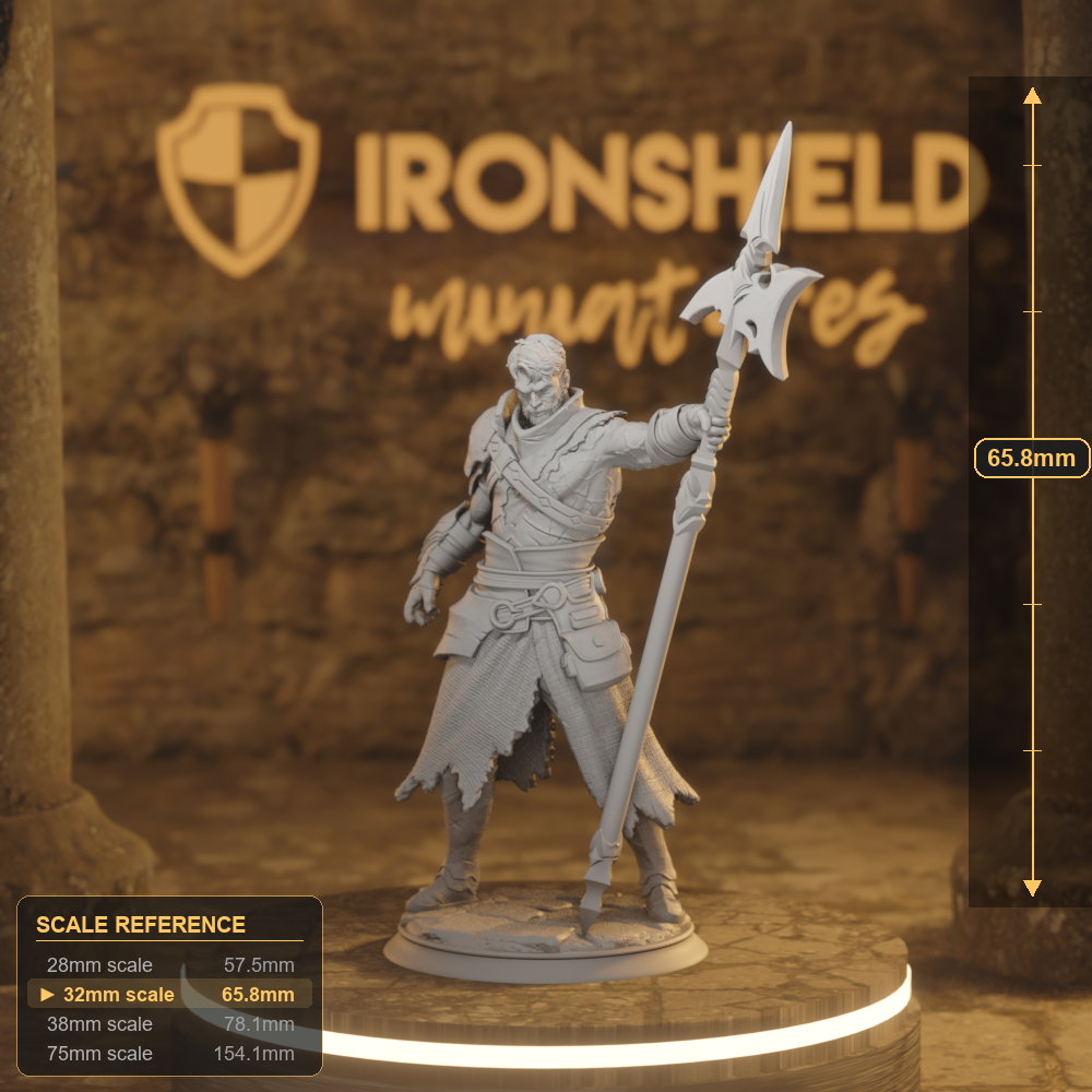 Andrek Human Fighter, Hex hunter DnD miniature 3D printed resin tabletop RPG figure