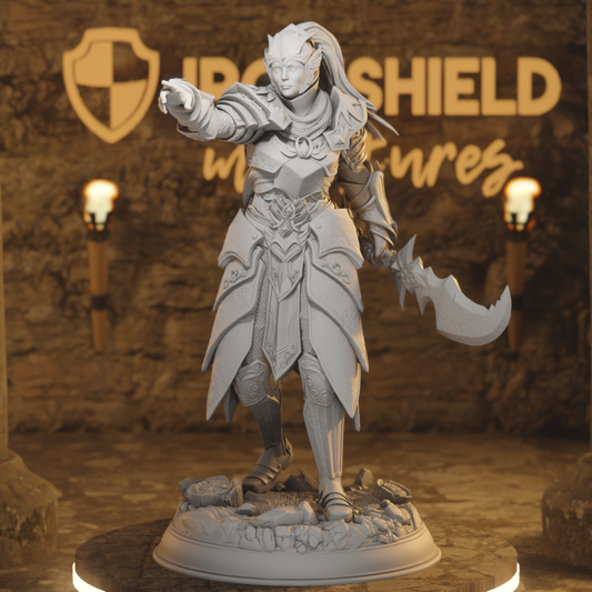 Cyrindeth Hochelfen-Kommandant Paladin-Kämpfer