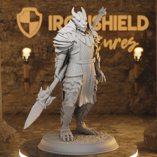 Dragonborn Warriors – Drachenritter-Speerkämpfer