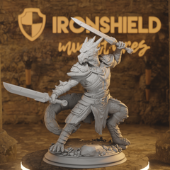 Kobolds of Midorius Dragonborn Warriors Rogue