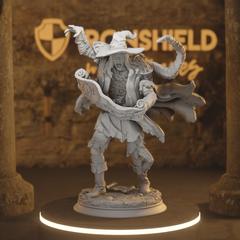 Blighted Scrivener - Dragonblight Progressed Undead Wizard Scroll-Wielding Horror