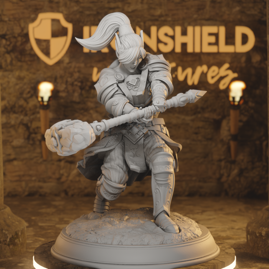 Kleriker des Arkanen - Querina Elf Paladin