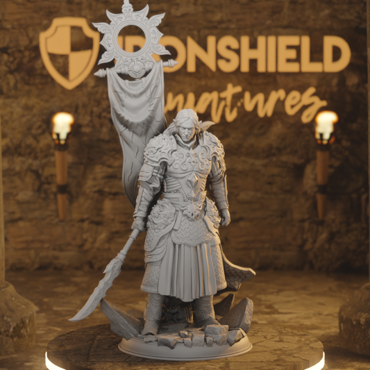 Rolen Elfenritter Kämpfer Paladin Banner