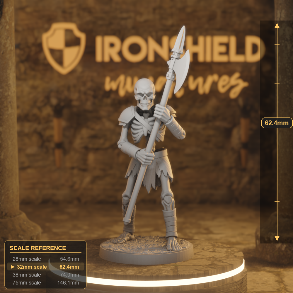 Skeletor 2 Undead Warrior DnD miniature 3D printed resin tabletop RPG figure