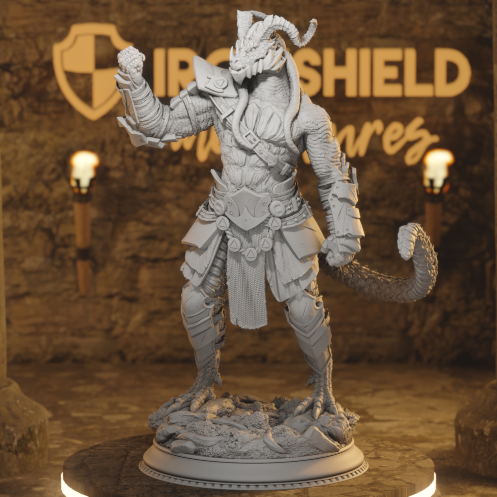 Clash of the Dragons - DND 5e Starter Campaign - Full Set 17 Figures + Maps + Characters Sheets D&D
