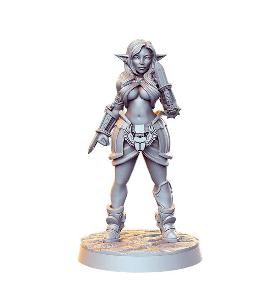 Itaka Elfenkrieger Dolche detailreich Mini für Dnd Figur Druck 3D Harz 12k 32mm Miniaturen Figuren Mins