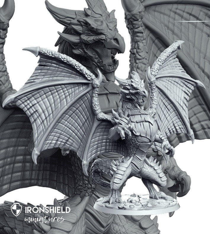 Flimtrax Drache Wolkenkrieger Dinosaurier detailreich Mini für Dnd Figur Druck 3D Resin 12k 32mm Miniatur Figuren Mins