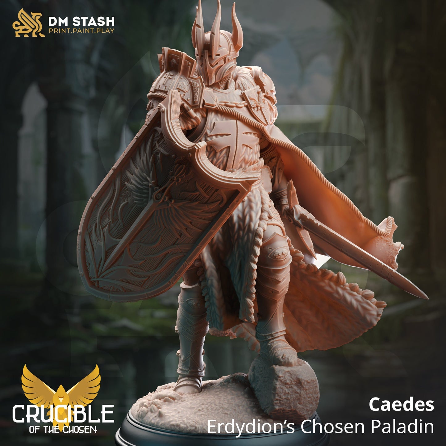 Caedes Enlightened Paladin of Justice Fighter
