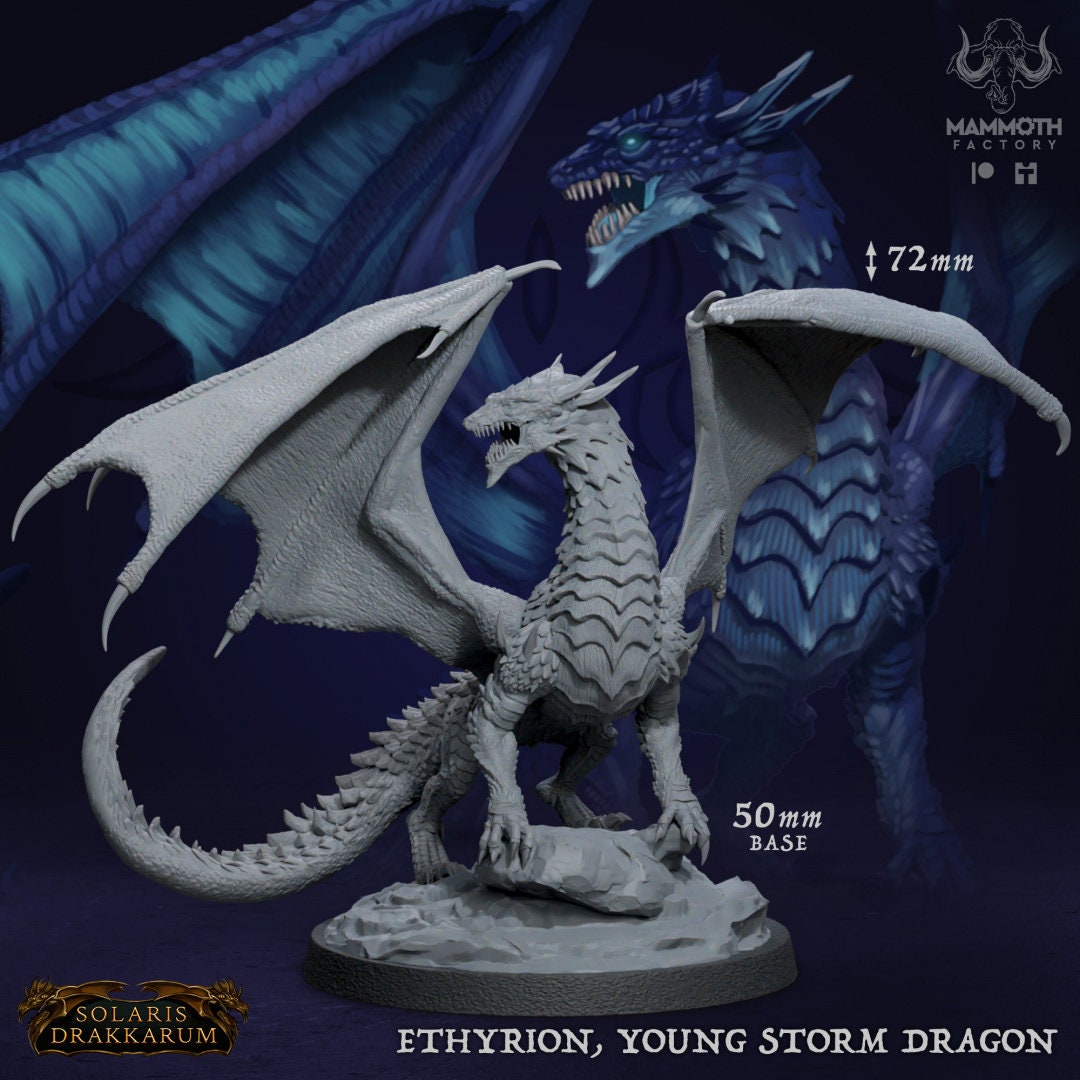 Ethyrion Junger Sturmdrache RIESIGE Figur 12k 14k + BONUS Druck 3D RPG Miniatur Geschenkidee Mini | Dungeons & Dragons | Tabletop | Mammut