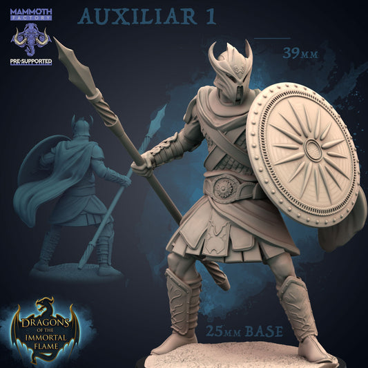 Auxiliar - Figurine Chevalier de l'Empire 12k 14k + BONUS Impression 3D Miniature RPG Idée cadeau mini | Donjons et Dragons | Jeux de table | Mammouth