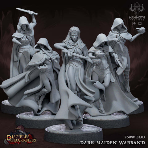 Maidens Set Womans Assassins 5 Figures 14k + BONUS for DND D&D Print 3D RPG