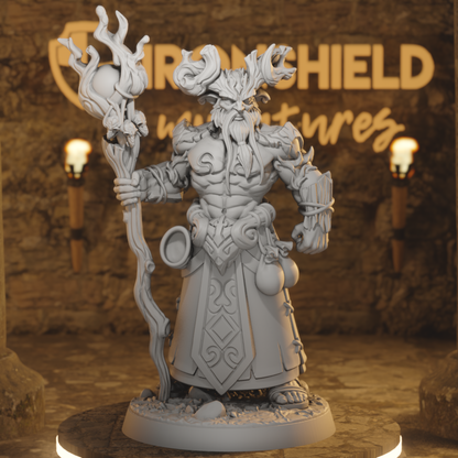 Aerlin - Druid Mage Forest Wizard DnD miniature 3D printed resin tabletop RPG figure