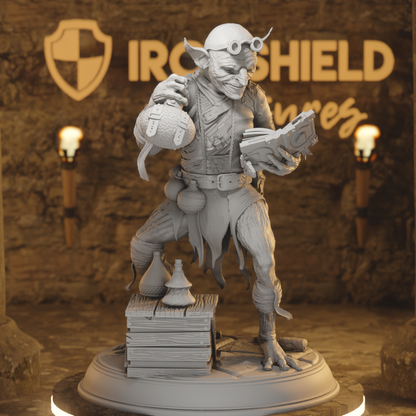 The University of Ardris - DND 5e Starter Campaign - Full Set 12 Figures