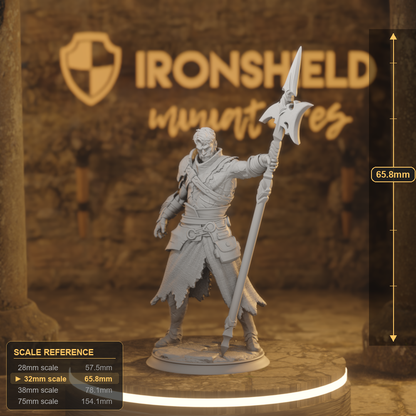 Andrek Human Fighter, Hex hunter DnD miniature 3D printed resin tabletop RPG figure