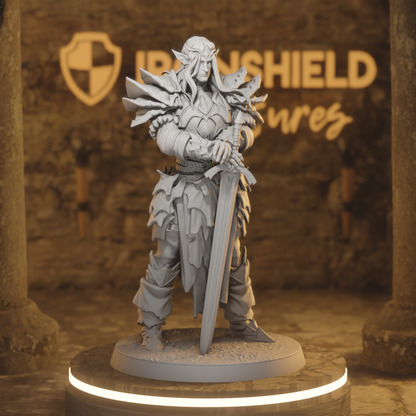 Dark Descent - Lowtown Collection - Anvarri Dralfar Knight