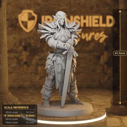 Anvarri Dralfar Knight 1 Elf Fighter DnD miniature 3D printed resin tabletop RPG figure