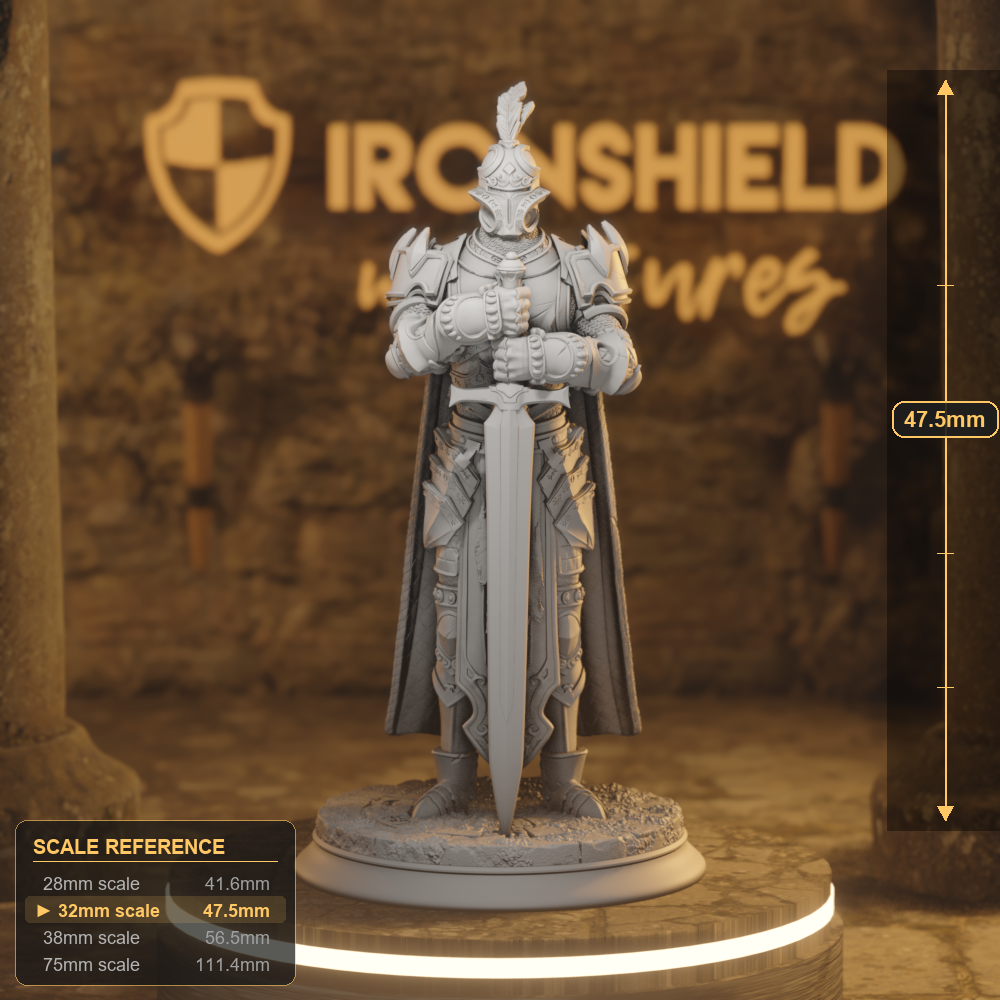 Arcane Armour A Human Fighter DnD miniature 3D printed resin tabletop RPG figure