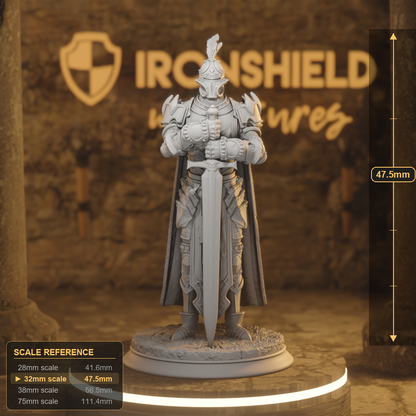 Arcane Armour A Human Fighter DnD miniature 3D printed resin tabletop RPG figure