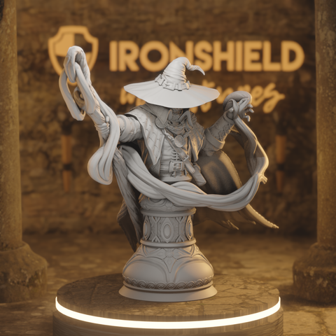 Big Hat Harrison Bust - Mysterious Human Wizard Sorcerer Professor of the Unknown