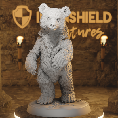 Bear Cub Sitting & Standing – Cute Animal Beast Companion Pet