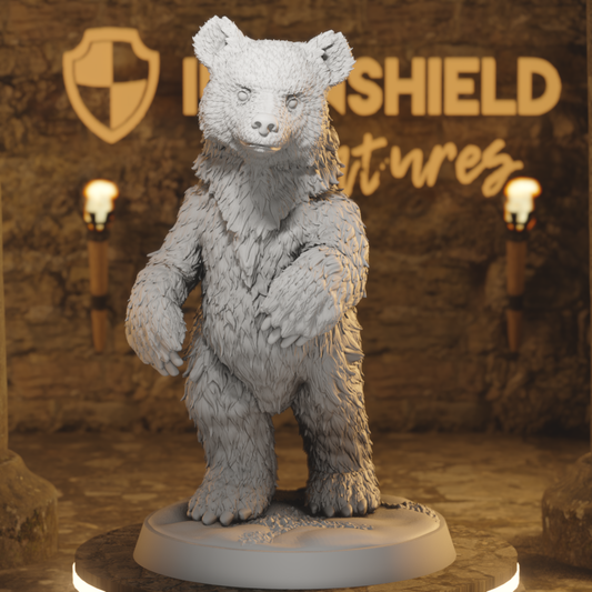 Bear Cub Sitting & Standing – Cute Animal Beast Companion Pet