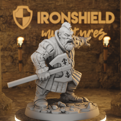 Bori van gilden Dwarf Fighter Barbarian DnD miniature 3D printed resin tabletop RPG figure