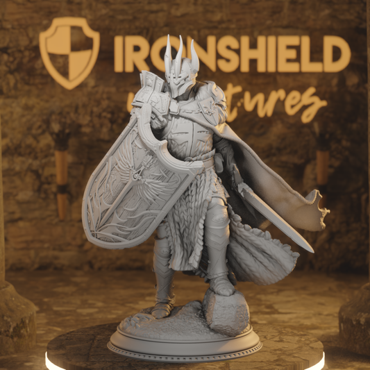 Caedes Enlightened Paladin of Justice Fighter