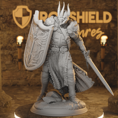 Caedes - Divine Paladin Knight