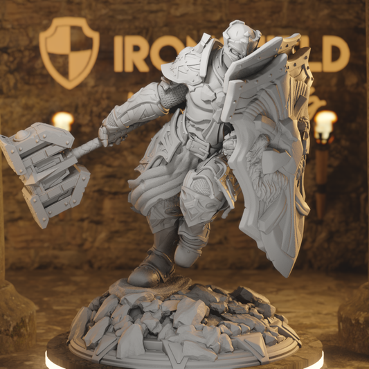 Holy Paladin - Cardioth Shieldsman