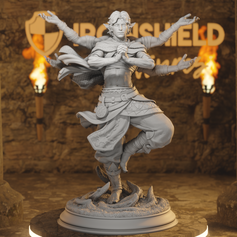 Caryian - Astral Sun Elf Monk Guardian of Hinatal Sworn to Glanion
