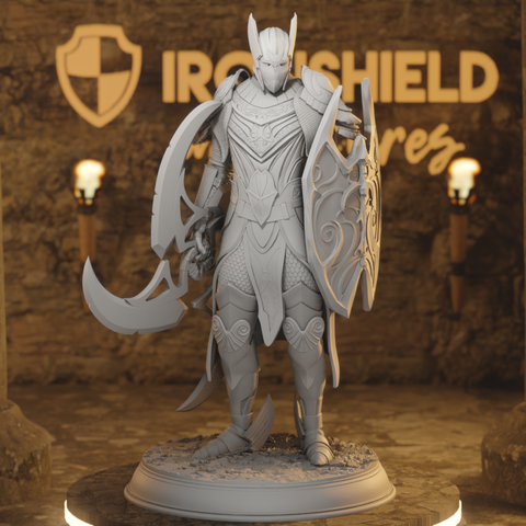 Leacianan Guard High Elf Paladin Fighter