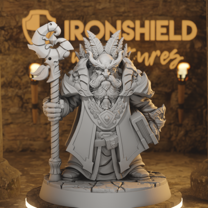 Draloth Dwarf Wizard Sorcerer Druid Old Sage DnD miniature 3D printed resin tabletop RPG figure
