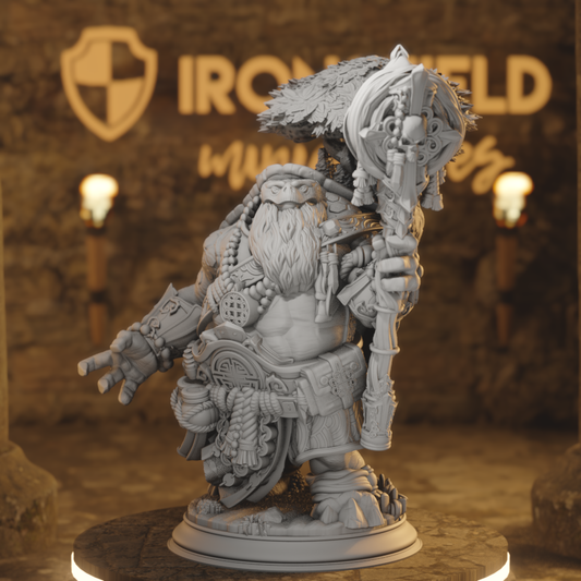 Tortle Wiseman Wizard - Elki the Wanderer
