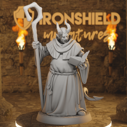 Hellswake Wardlighter 1 Tiefling Cleric DnD miniature 3D printed resin tabletop RPG figure