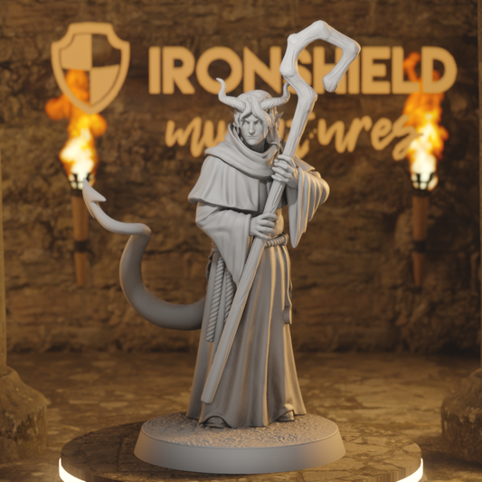Hellswake Wardlighter 2 Tiefling Cleric DnD miniature 3D printed resin tabletop RPG figure