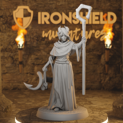 Hellswake Wardlighter 3 Tiefling Cleric DnD miniature 3D printed resin tabletop RPG figure