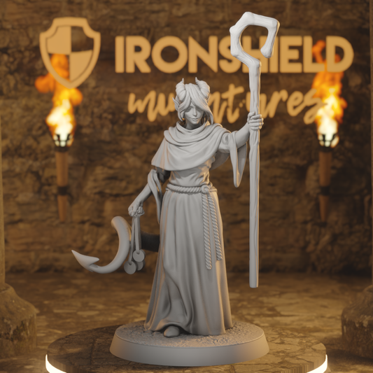 Hellswake Wardlighter 3 Tiefling Cleric DnD miniature 3D printed resin tabletop RPG figure