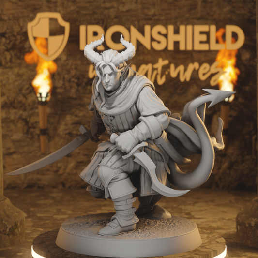 Hellswake wayfarer 1 Tiefling Rogue DnD miniature 3D printed resin tabletop RPG figure