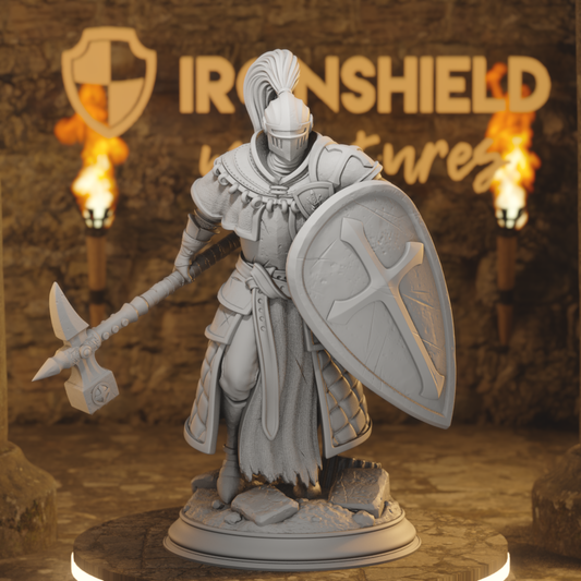 Jeremus of Jochenia - Hammer of Horauthin Human Cleric, Fighter, Paladin DnD miniature 3D printed resin tabletop RPG figure