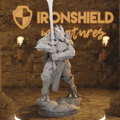 Dragonborn Paladin - Krimmdar Warrior