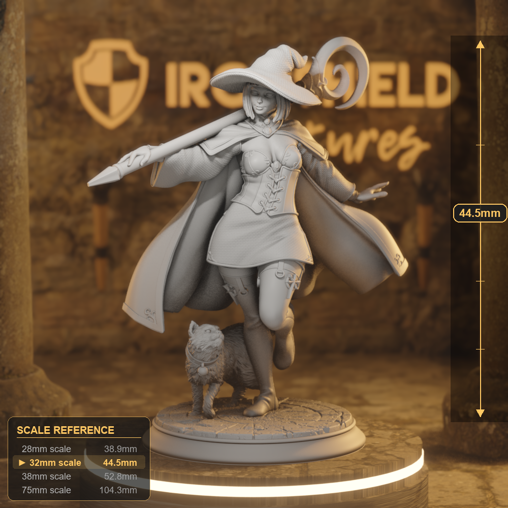 Lady Elara Human Sorcerer, Warlock, Wizard DnD miniature 3D printed resin tabletop RPG figure