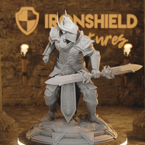 Vanguard Male High Elf Paladin Knight
