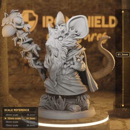 Mouthuselah Dimsby Beastfolk Wizard DnD miniature 3D printed resin tabletop RPG figure