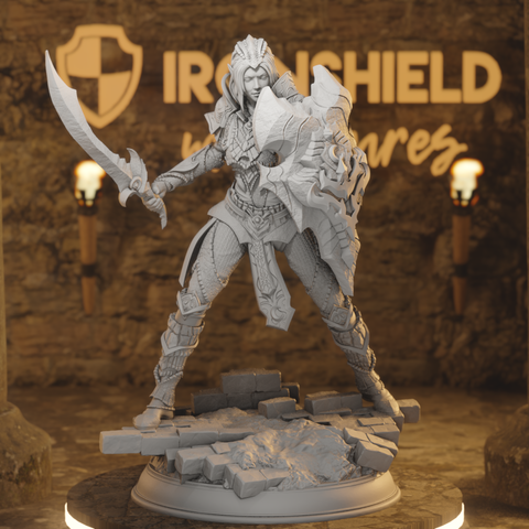 Drow Moon Paladin Cleric Fighter - Mrina