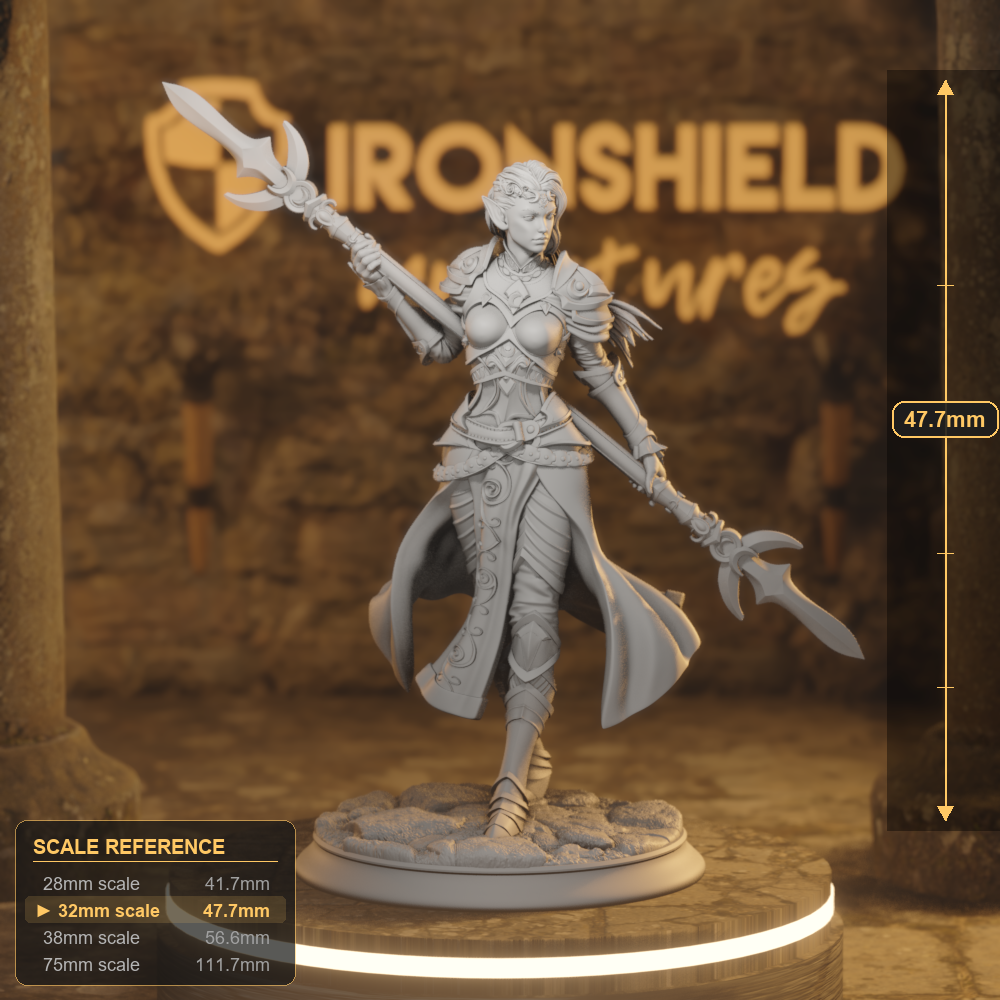 Ninera Blade Elf Fighter DnD miniature 3D printed resin tabletop RPG figure