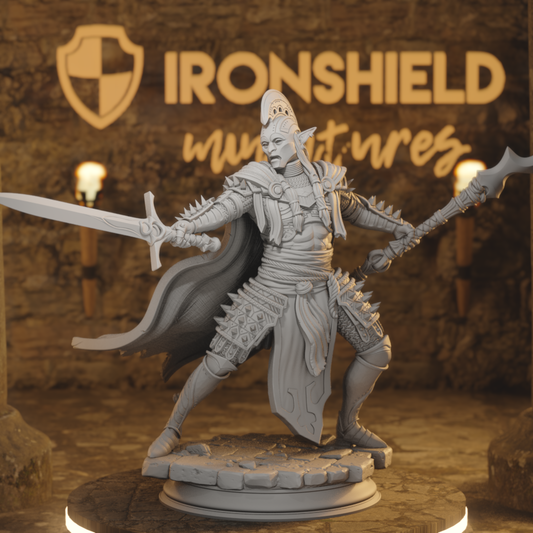 Ordained – High Priest of the Shrouded Veil Drow Elf