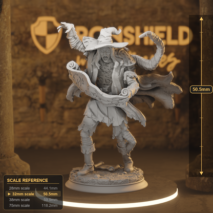 Progressed B Undead Wizard DnD miniature 3D printed resin tabletop RPG figure