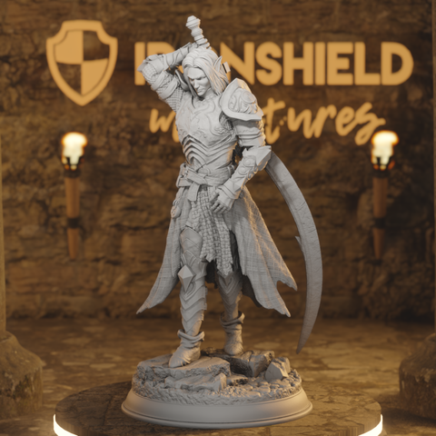 Drow Moon Paladin - Relethyr Elf Warrior