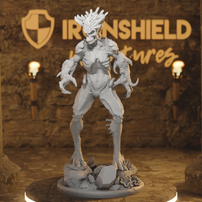 Hex Hunters of Brightstone - DND 5e Starter Campaign - Full Set 12 Figures + Maps + Characters Sheets D&D