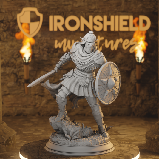 Seroca s Devout Warrior Elf Fighter DnD miniature 3D printed resin tabletop RPG figure